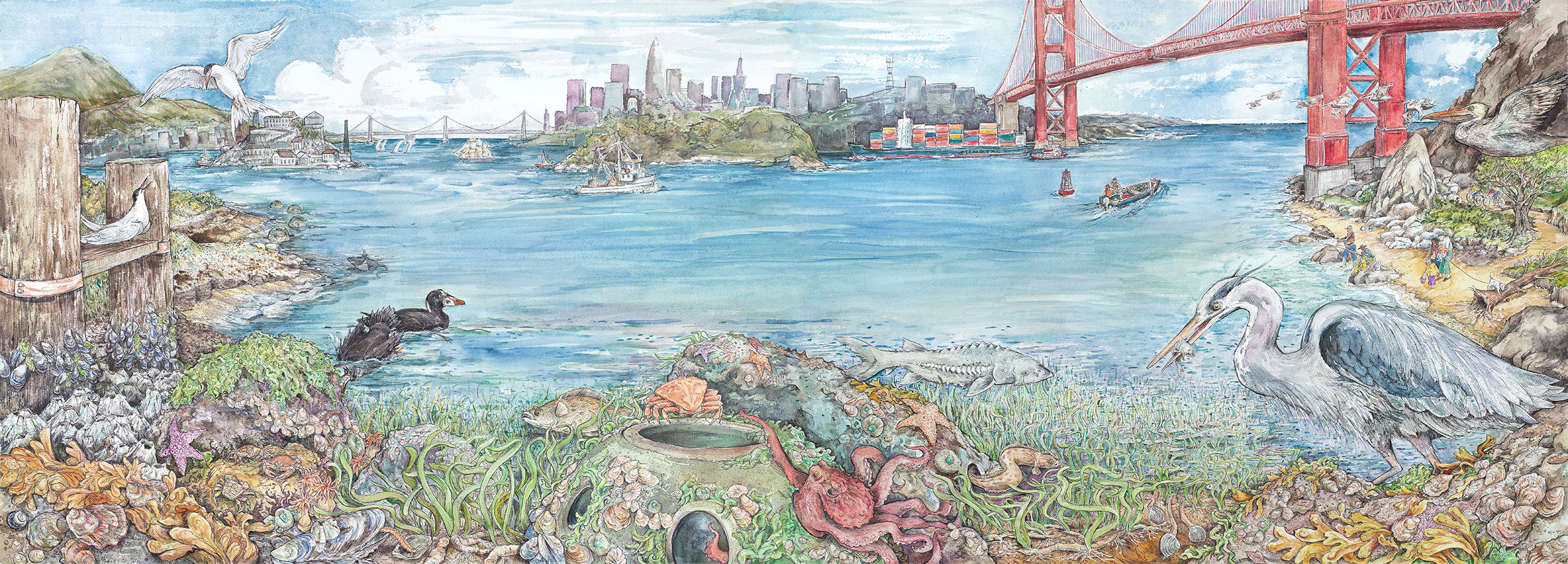 illustration show various species in estuary