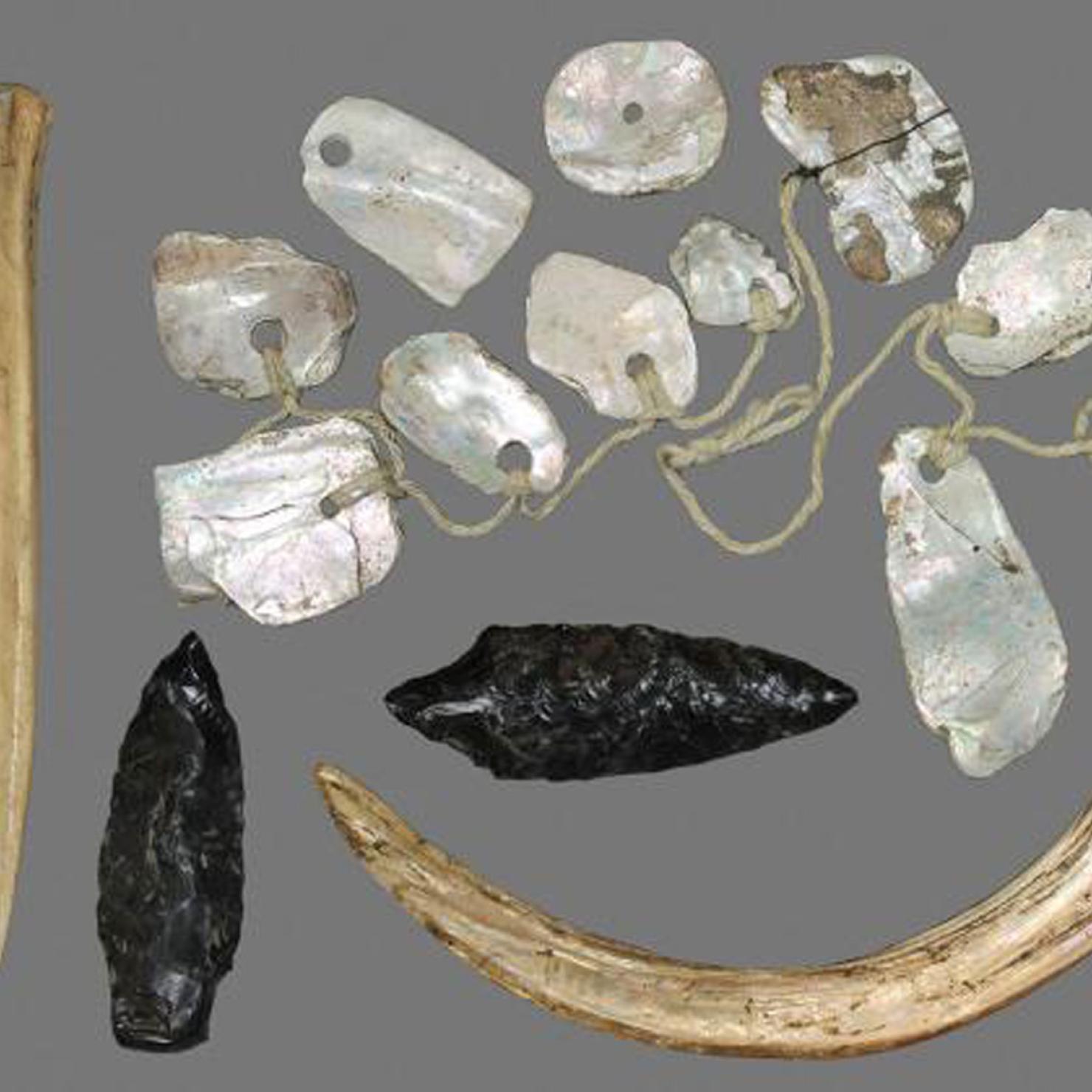 Tools made of oyster shell and other elements