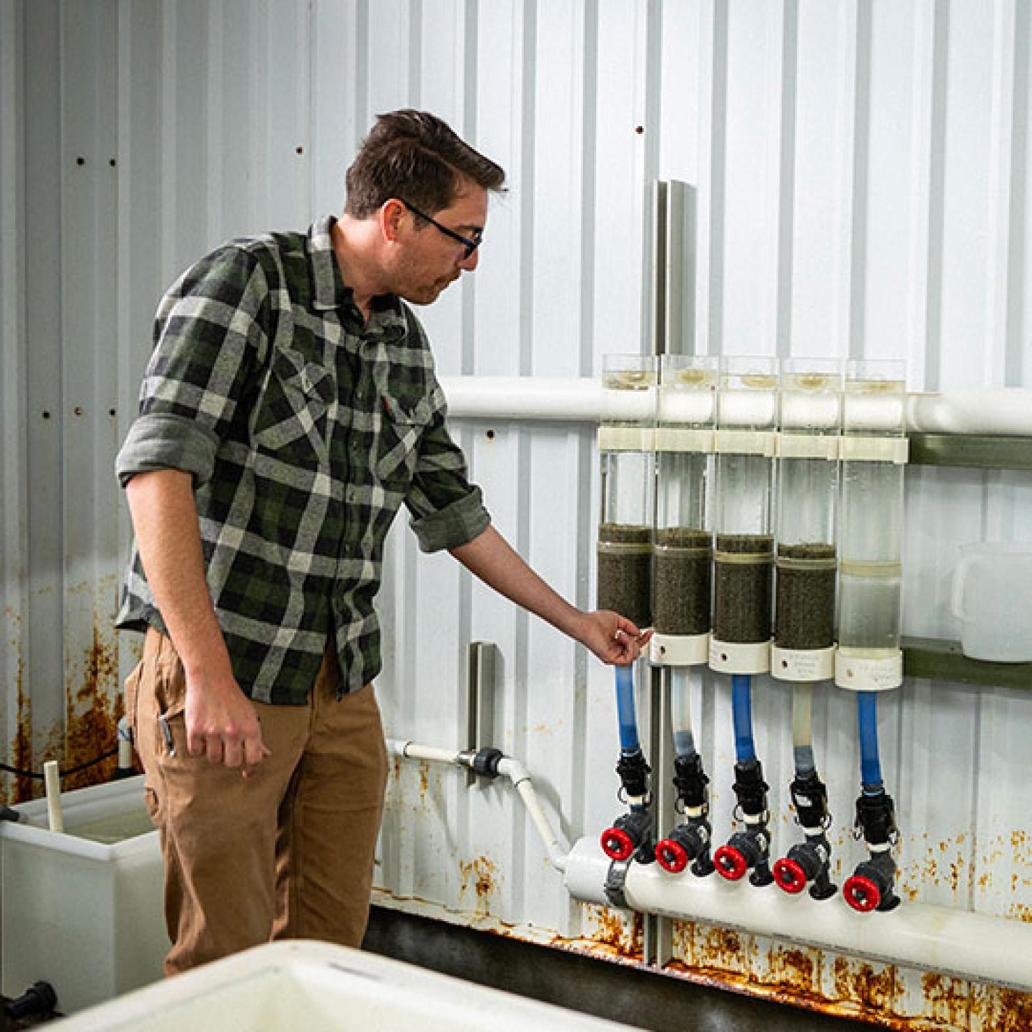 hatchery in Humboldt Bay