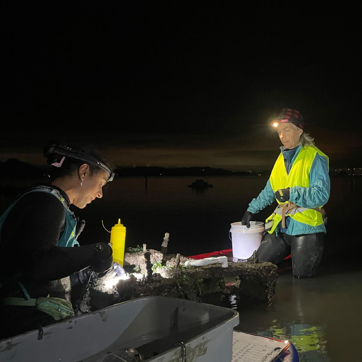 research scientists on the bay at night