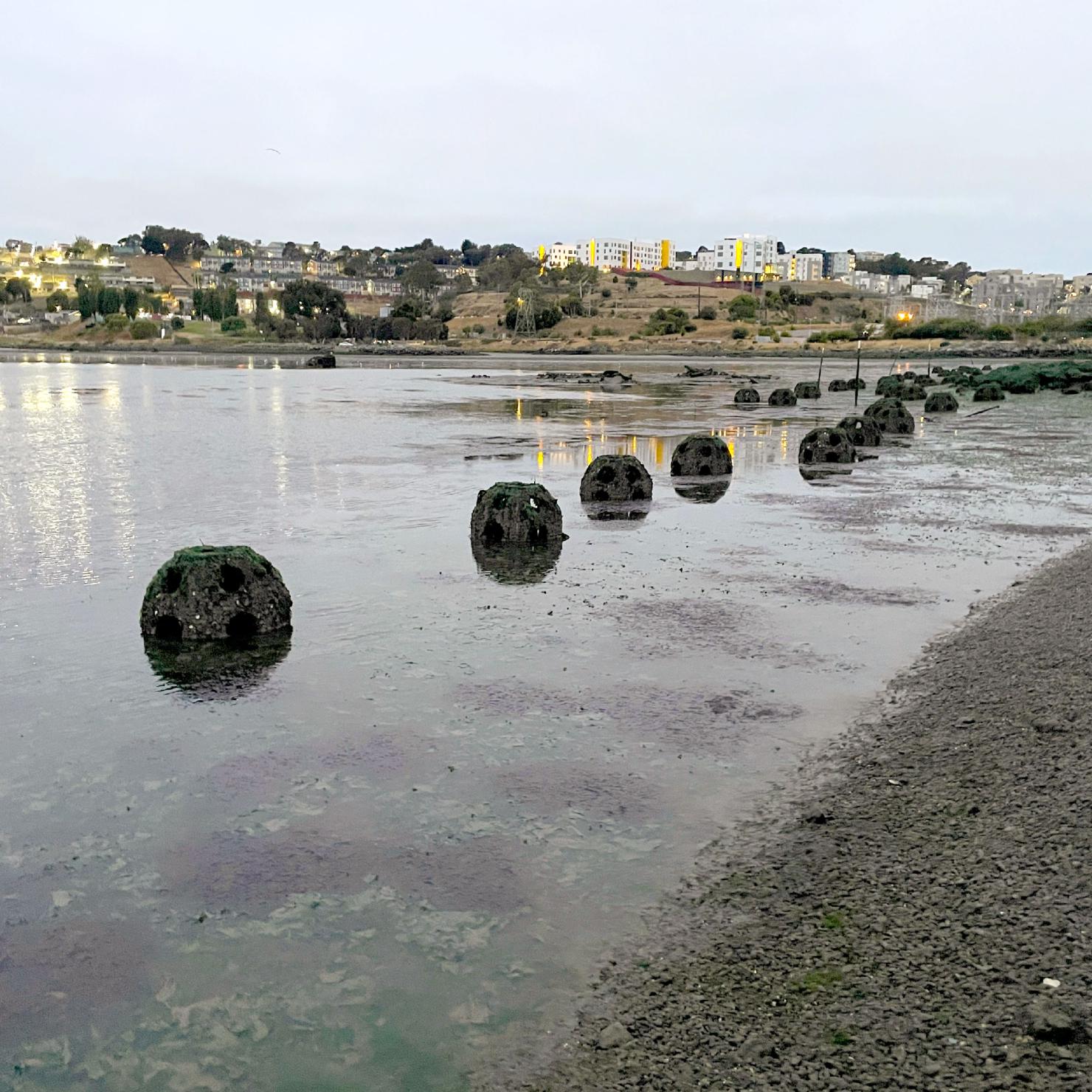 oyster balls at a restoration project